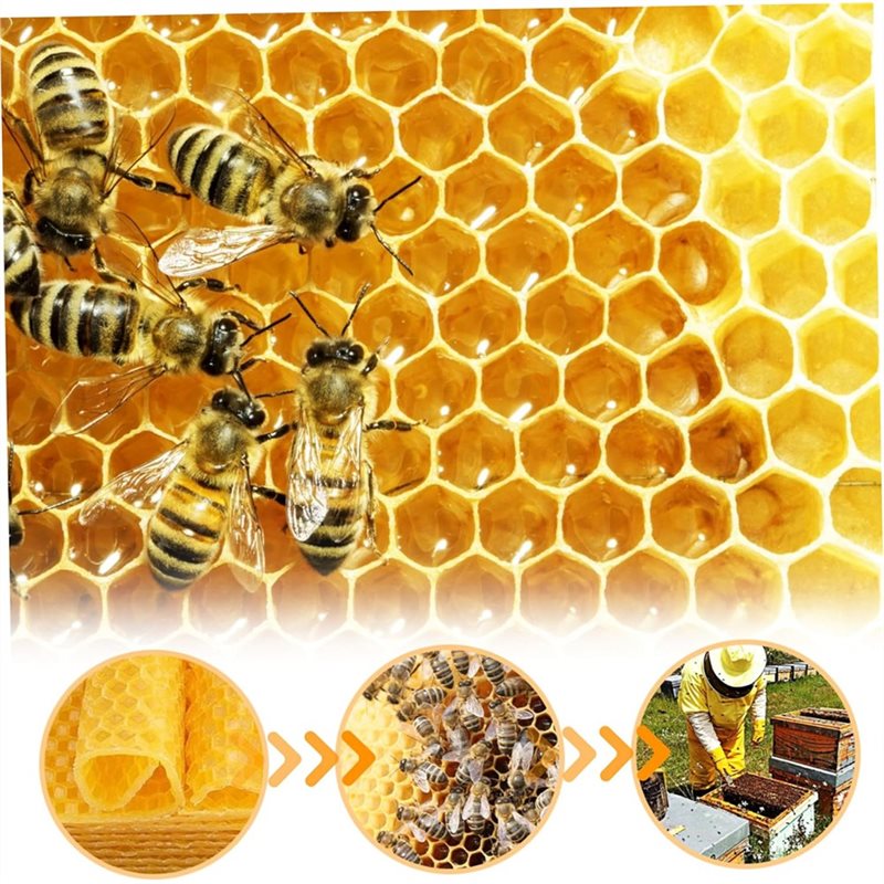 AT43-DIY Craft For Candle Maki - Candle Supplies Beeswax review and price