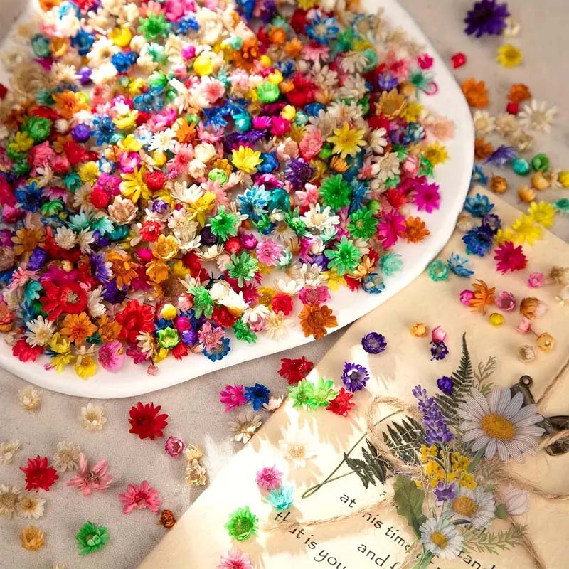 Mixed Colorful Flower for Wax  - Candle Supplies Bulk review and price
