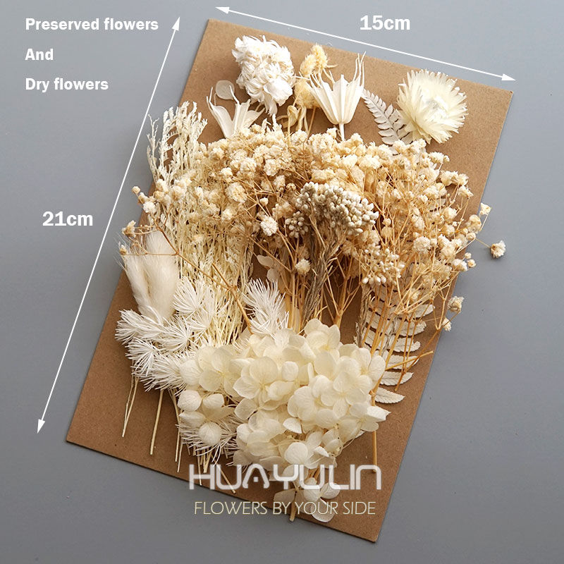 1 Pack Artificial Plants Dried - Candle Supplies Kit review and price